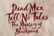 Veirwrath Borngrave - Haunted Beauty, a Handwritten Font by HypeWorksCo (Thumbnail 2 of 12)