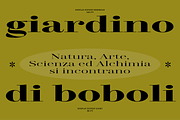 TA Regresso Text, a Serif Font by TAFT Foundry (Thumbnail 5 of 21)
