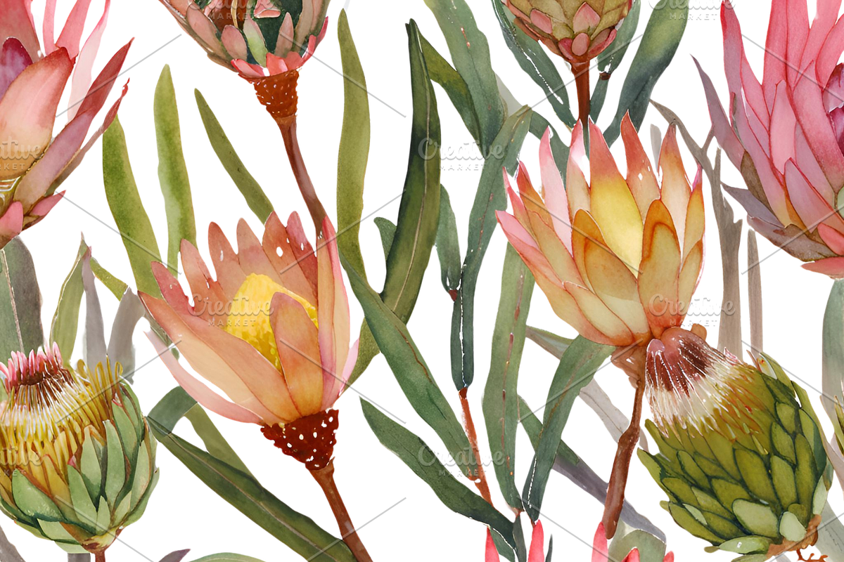 Watercolor Fynbos Flowers, a Decorative Illustration by Karliefie (Photo 4 of 6)