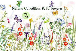 Nature Collection watercolour flower