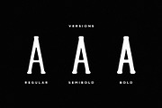 Vintage Trio Font Bundle, a Serif Font by Mikhail Fukurou (Thumbnail 13 of 13)