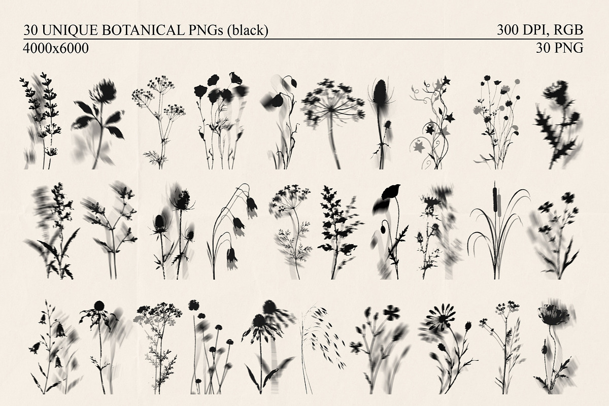 Shadow Bloom Analog Botanical PNG, an Object Graphic by DreamoraArt (Photo 2 of 10)