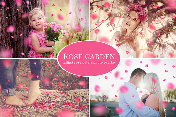 Rose Garden - pink petals overlay preview 6