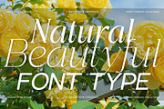 Bentona Athiroen (27 Fonts Style), a Serif Font by IM Studio (Thumbnail 8 of 11)
