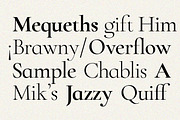 ZT Chablis - Classic serif, a Serif Font by zelow type (Thumbnail 6 of 15)
