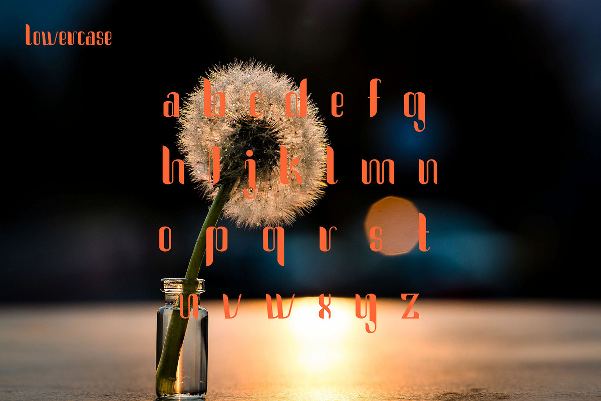 Cintiya, a Font by Funtype (Photo 8 of 11)