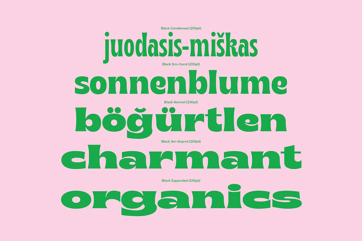 65% OFF Brice Font Family, a Font by Sundance Tipografia (Photo 10 of 17)