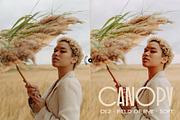 Canopy - Earthy Lightroom Presets, an Action Add-On by Presetrain Co. (Thumbnail 2 of 8)