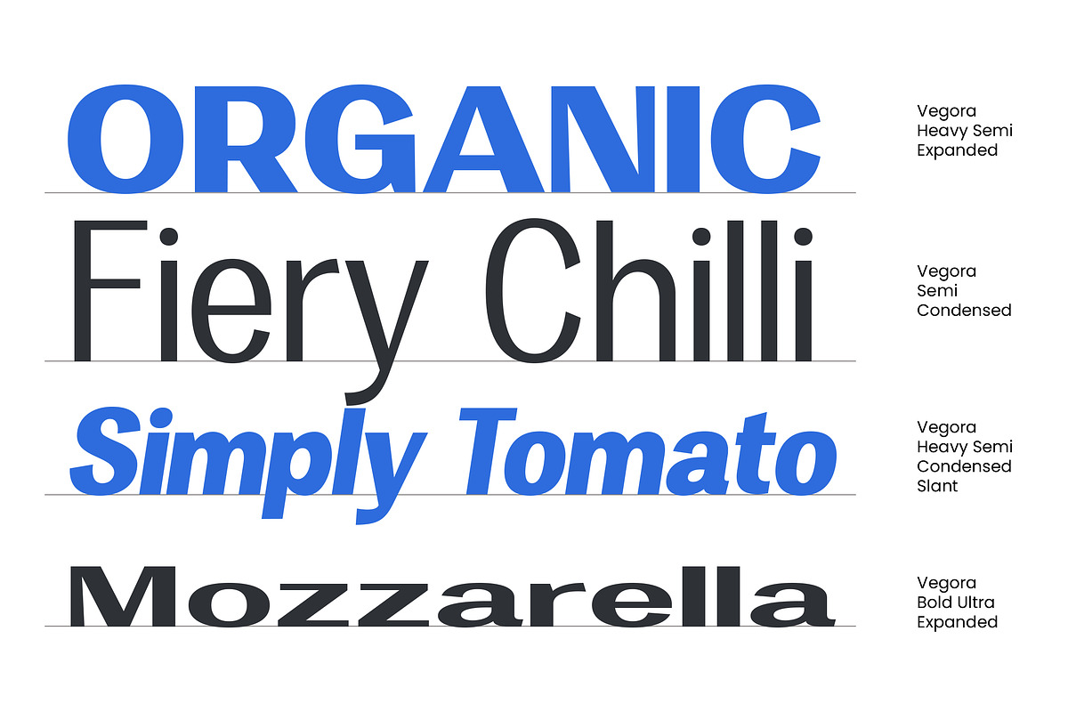 Vegora Display Sans, a Sans Serif Font by Fargun Studio (Photo 4 of 15)