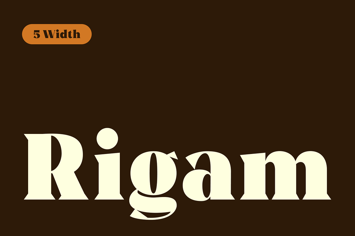 Rigam Complete Family, a Serif Font by Fitrah Type (Photo 1 of 15)