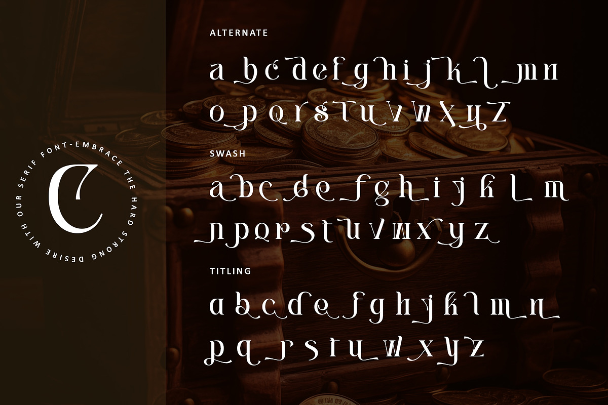 Centibillionaire, a Serif Font by Letterara (Photo 11 of 13)