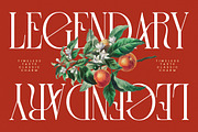 Leodarck New Modern Display Serif, a Serif Font by timelesstype.co (Thumbnail 11 of 20)