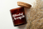Beatnik Garden Decorative Serif, a Serif Font by Letterena Studios (Thumbnail 3 of 15)