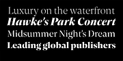 Contane, a Serif Font by Hoftype (Thumbnail 13 of 15)