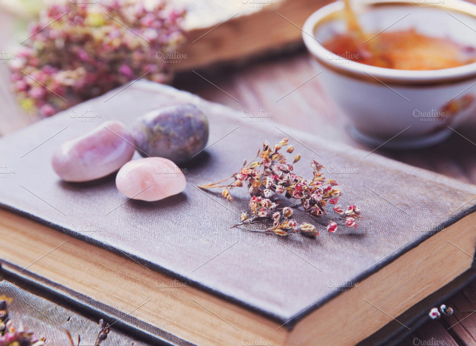 Books and Tea 2, a Nature Photo by Coral Antler