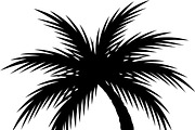 Palm Tree SVG Bundle, an Illustration by Creativeshirt (Thumbnail 3 of 7)