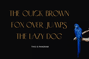 Problack - Elegant Sans Serif, a Sans Serif Font by RockboyStd (Thumbnail 7 of 12)