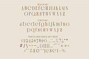 Marquee Serif Thin Display Font, a Serif Font by PeanutButter Type (Thumbnail 3 of 6)