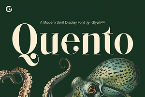 QUENTO | Modern Serif Display Font
