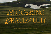Grimlins Mixed Display Font, a Serif Font by Letterhend Studio (Thumbnail 6 of 10)