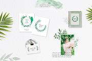 Watercolor Foliage Set, a Decorative Illustration by kate_illustration (Thumbnail 6 of 6)