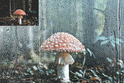 Wet Glass Overlay Photoshop Action, an Action Add-On by Studio Retouch (Thumbnail 6 of 11)