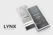 Lynx Complete Pack, a Brochure Template by SlideStation (Thumbnail 11 of 12)