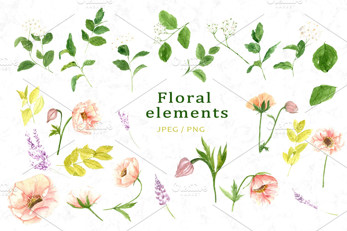 Pretty Flowers - Watercolor ClipArt, an Illustration by OlgaSerbun (Photo 2 of 5)