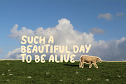 DAYDREAM PAPER - font, a Blackletter Font by Ashiya Pixel (Thumbnail 4 of 8)
