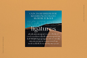 Orange Avenue Ligature Serif Font