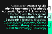 Boring Sans 30 fonts, a Sans Serif Font by Zetafonts (Thumbnail 6 of 14)