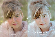 Bjorndale Presets - Desktop & Mobile, an Action Add-On by Presetrain Co. (Thumbnail 4 of 9)