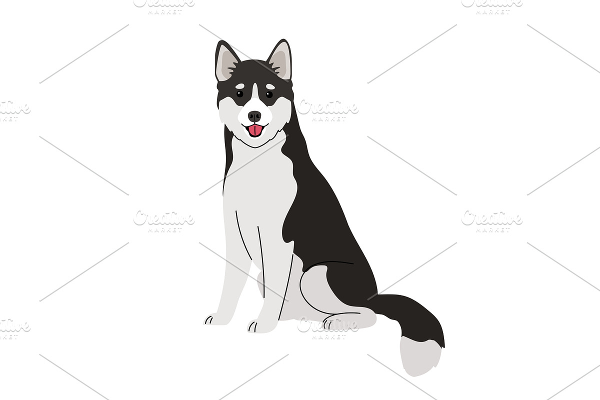 Husky breed dog on white, an Animal Illustration by Stock-Smart-Start