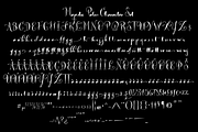 Majestic Palm, a Script Font by STUDIOWAYS (Thumbnail 6 of 6)
