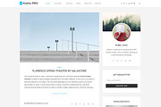 Kotha PRO - WordPress Blog Theme, a WordPress Template by ShapedTheme (Thumbnail 1 of 4)