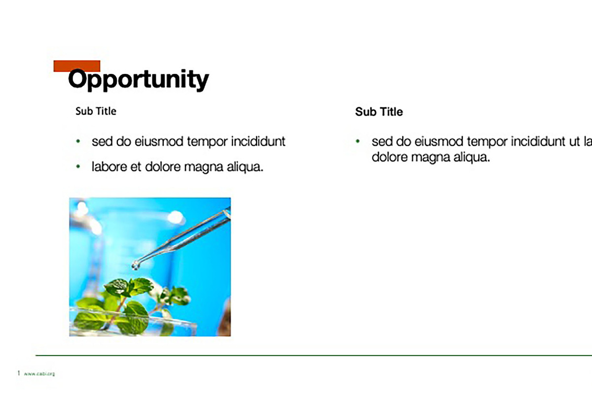 Colorful Template For Any Use, a Templates & Theme by Iconography - Pitch Deck (Photo 13 of 36)