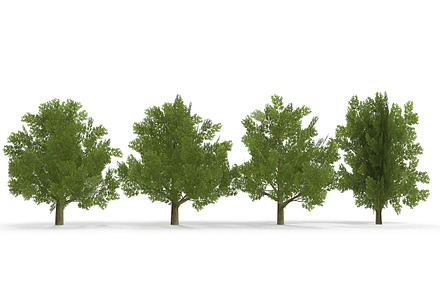 Oak Low Poly V2
