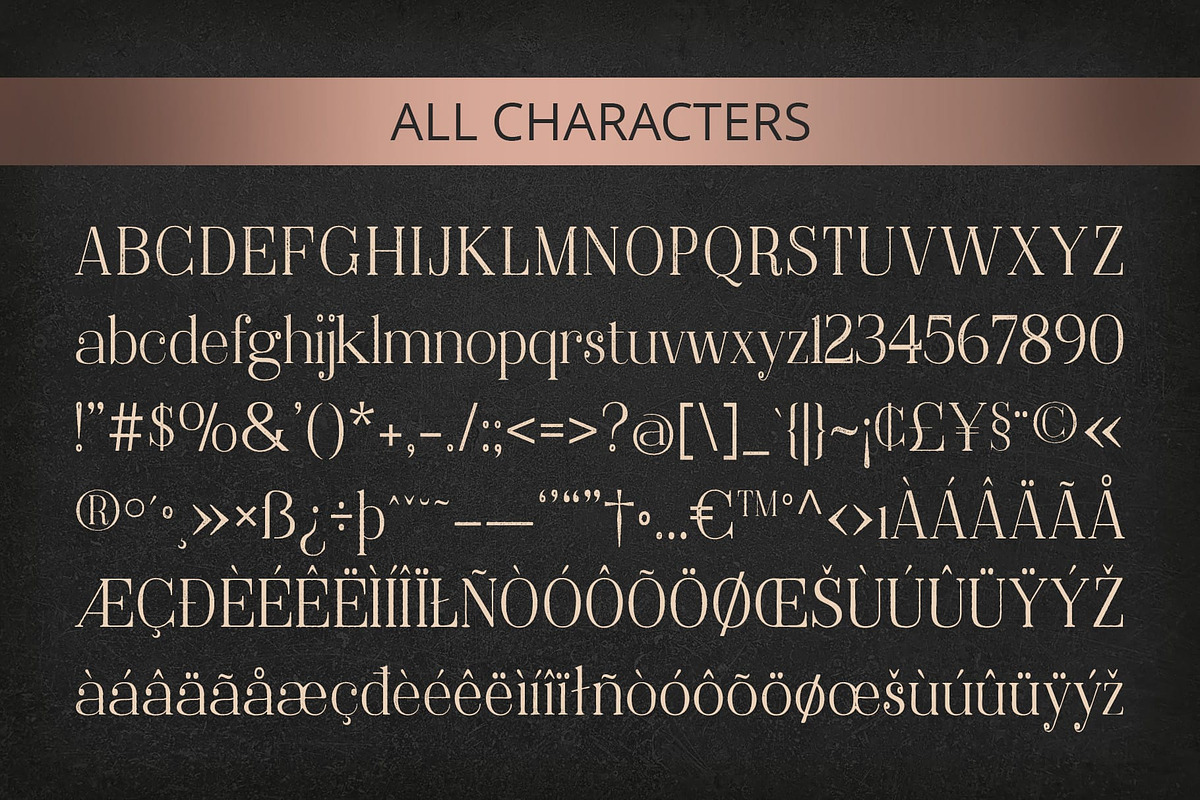 Delcy Vintage, a Serif Font by Craft Supply Co. (Photo 3 of 8)