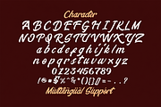 Stringlabs Creative Bold Script Font, a Script Font by StringLabs (Thumbnail 12 of 13)