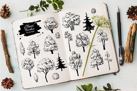 Sketch Set of Trees and Bushes.