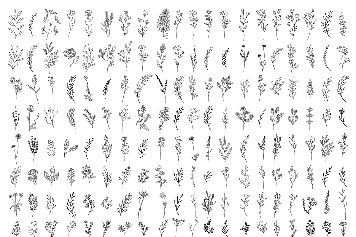 200 Wildflowers Line Art Botanicals, an Illustration by LifestyleCraftCo (Photo 2 of 6)