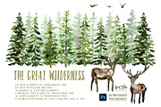 The Great Wilderness Watercolor Set, an Animal Illustration by Kim Thoa Designs (Thumbnail 1 of 8)