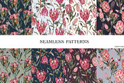 Watercolor Protea Floral Elements, a Decorative Illustration by Damian Roh (Thumbnail 10 of 12)