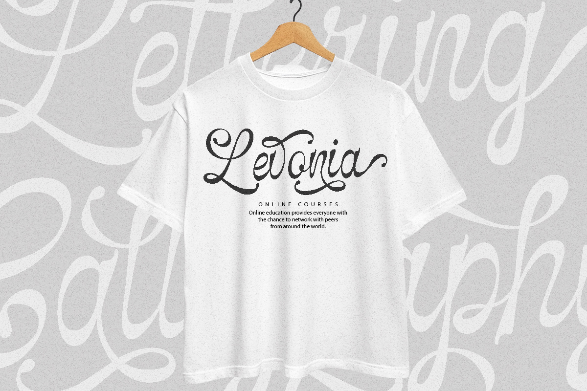 Selfino Script, a Script Font by Madjack.font (Photo 6 of 12)