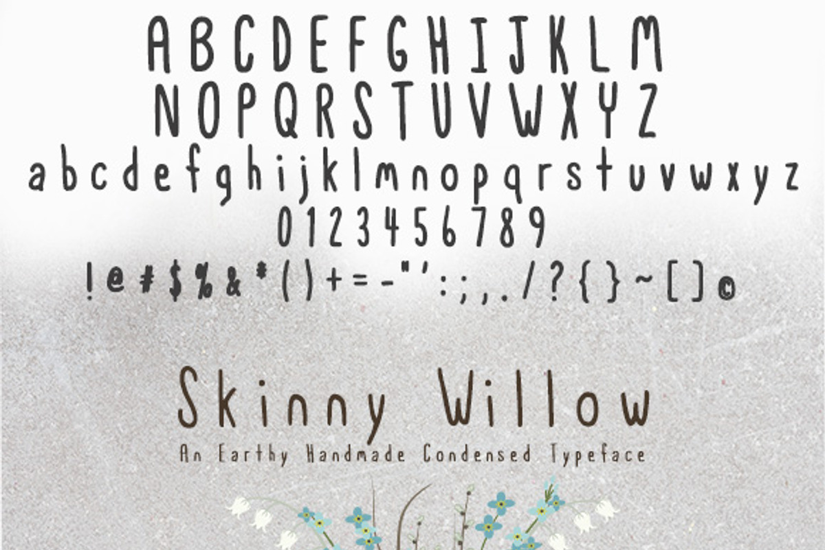 Skinny Willow Earthy Handmade Font preview 5