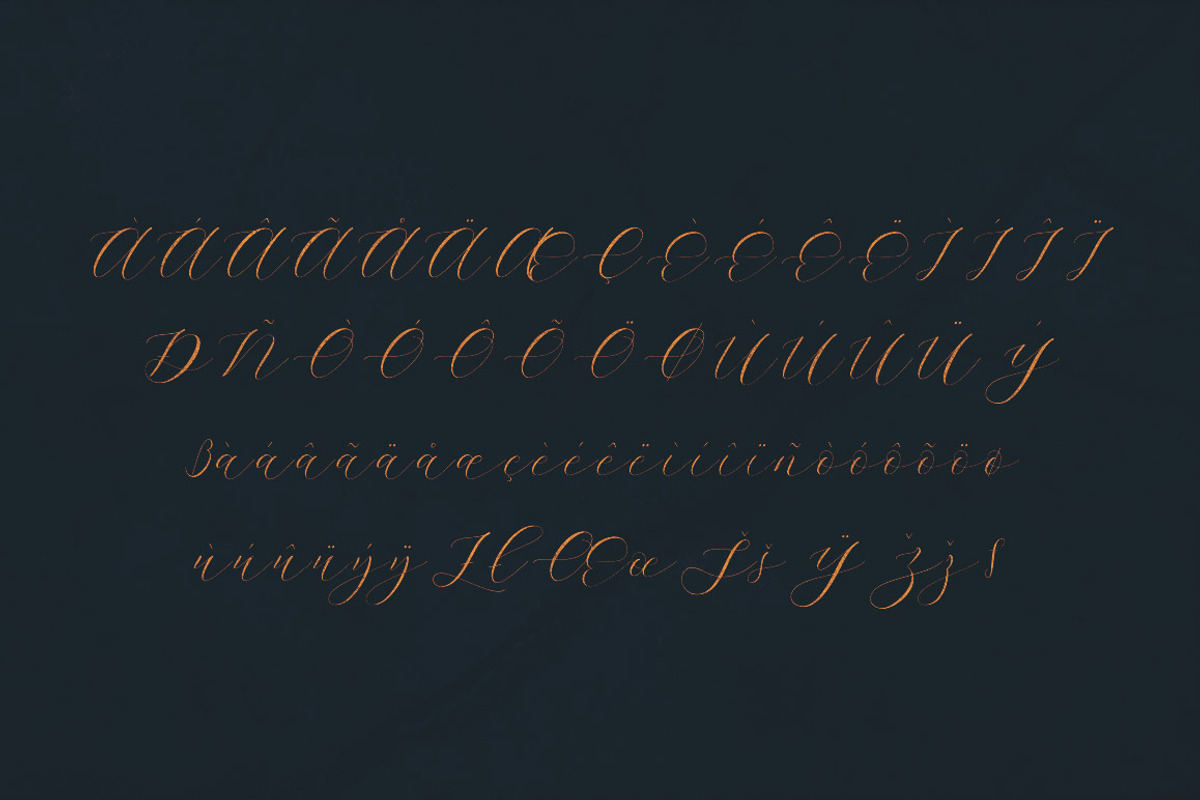 Emeline Script Font preview 7
