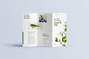 Trifold Brochure Mockup, a Print Template by mockupatelier (Thumbnail 13 of 15)