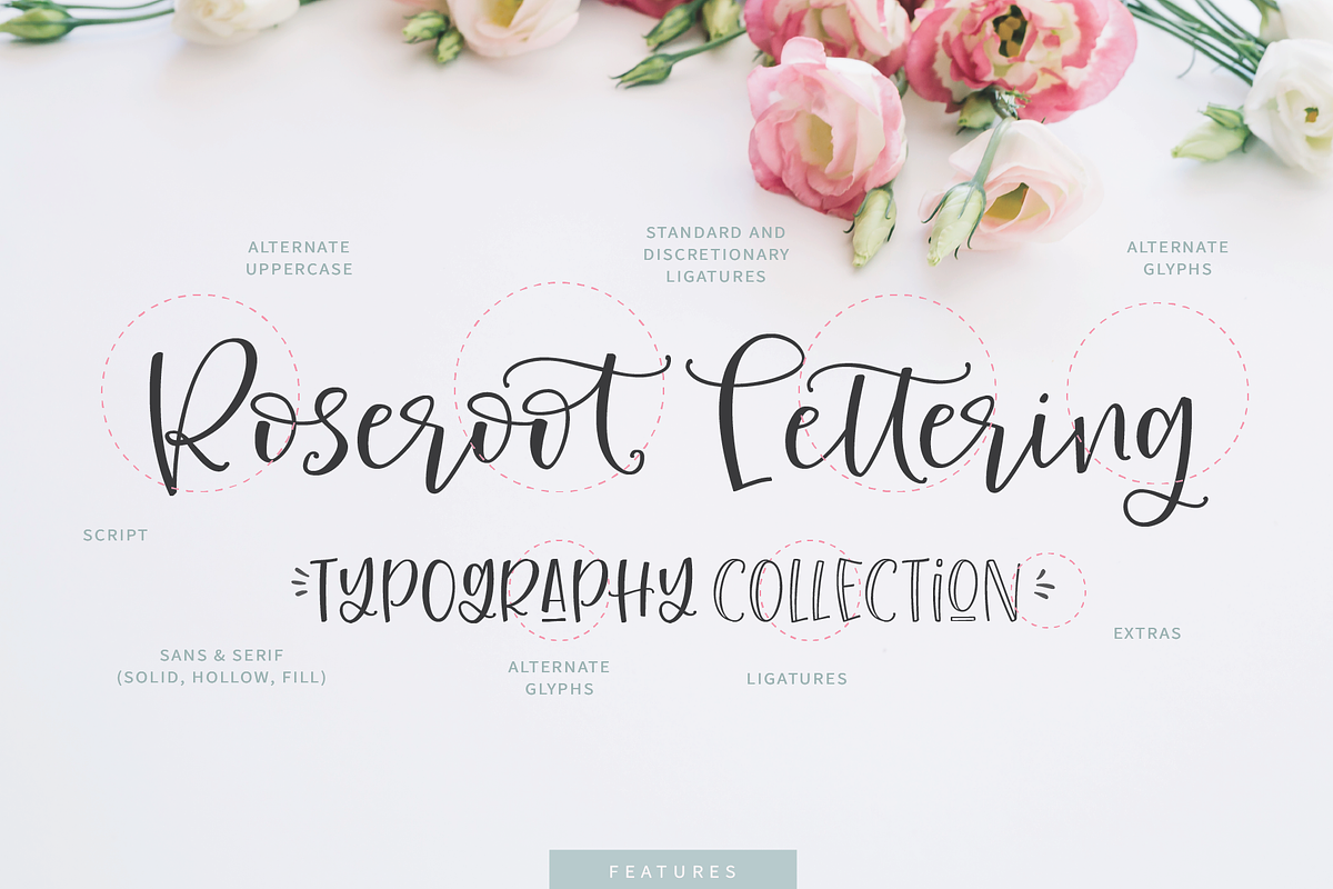 Roseroot Cottage Font Collection, a Script Font by Emily Spadoni (Photo 10 of 20)