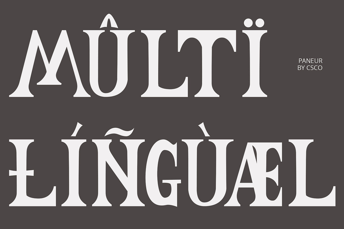 Paneur – Serif Typeface, a Serif Font by Craft Supply Co. (Photo 7 of 8)
