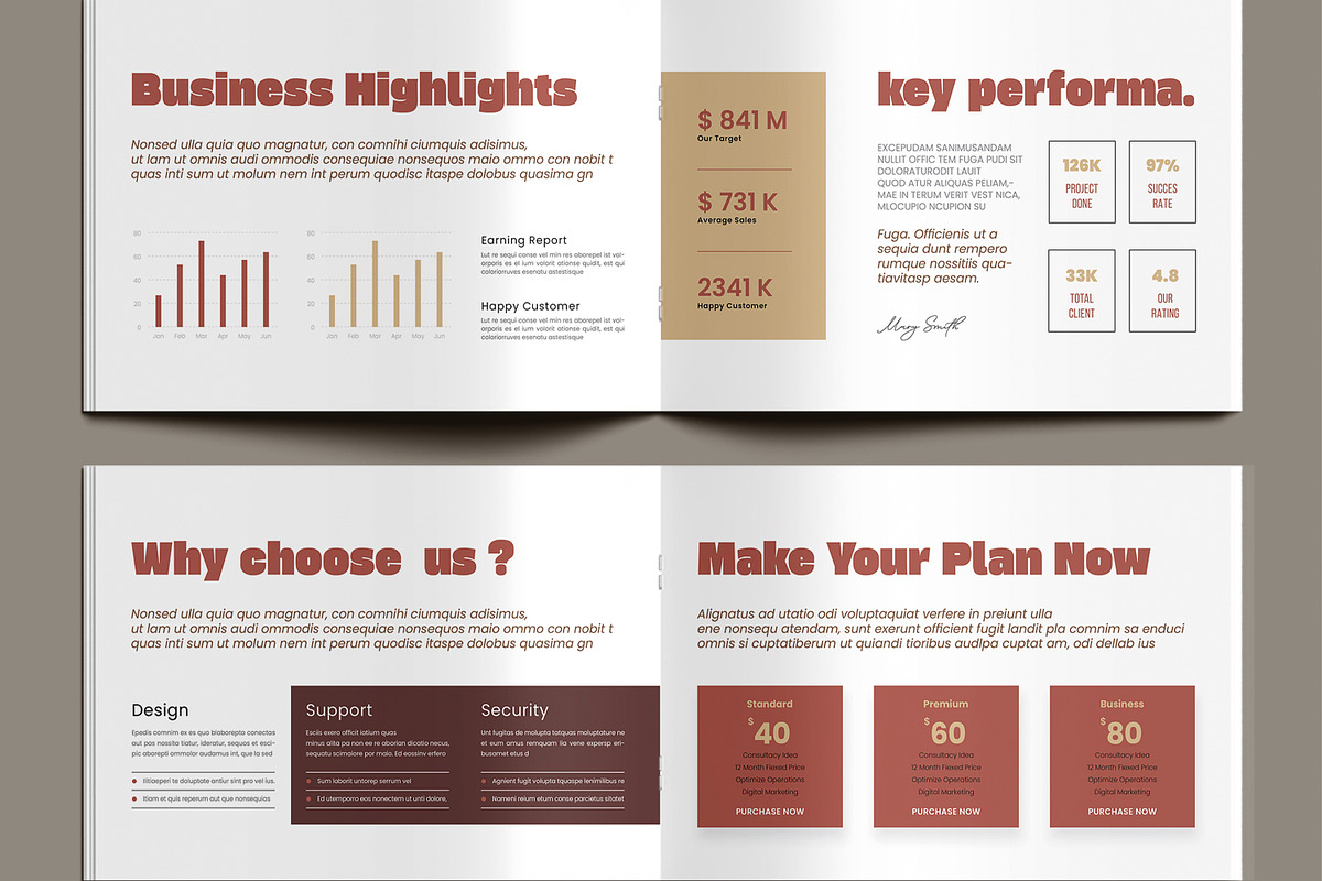 Company Profile Brochure Template preview 5